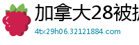 加拿大28被抓_走势加拿大28_加拿大28代码_加拿大28平台_加拿大当地时间